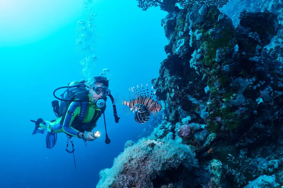 The Best Scuba Diving Spots in Cyprus