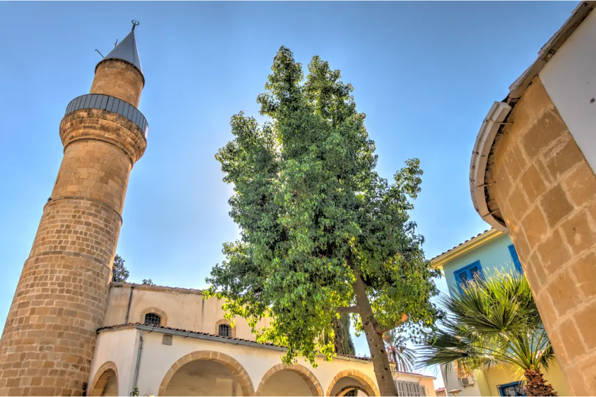 Aralarında etkileyici kilise ve manastırların da bulunduğu Kuzey Kıbrıs tarihi yerleri, sıradan bir tatilin ötesinde büyüleyici bir yolculuğa çıkmak isteyenler için biçilmiş kaftandır. Kıbrıs’ta gezilecek tarihi yerleri bulacağınız duraklar ise işte şu şehirlerdir